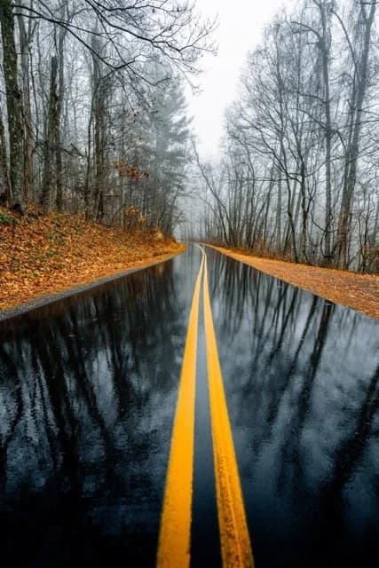 Foggy road representing unclear handoffs and hidden workflow delays